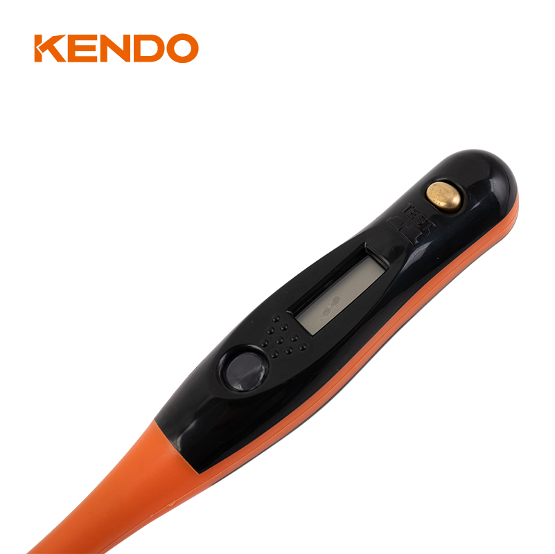 Máy kiểm tra điện áp kỹ thuật số 12-250V